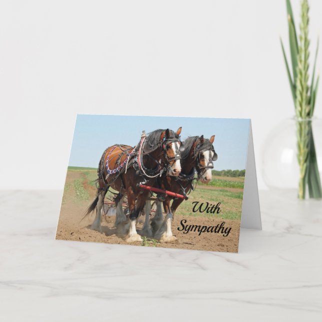 Horse Clydesdale Farming Photo Sympathy Card (Front)