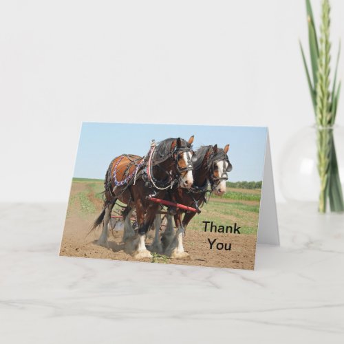 Horse Clydesdale Farming Photo Thank You Card