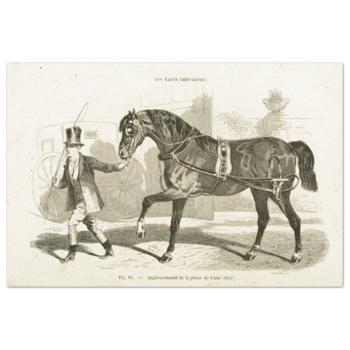 Horse Coachman Ephemera Decoupage Vintage French Tissue Paper