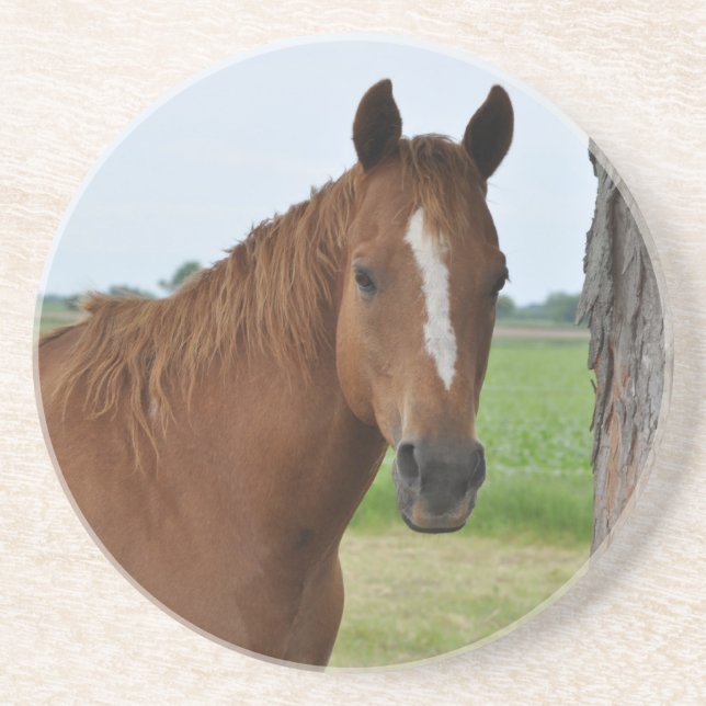 Horse Coaster (Front)