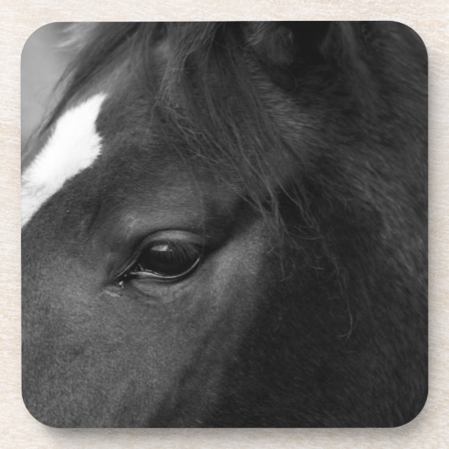Horse coastercna beverage coaster (Front)