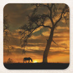 Horse Coasters<br><div class="desc">Beautiful fine art horse photography coasters. This image of a horse, oak tree and sunrise was taken on the Central Coast of California, San Luis Obispo area, north county in a little town called Creston. It is known for it's horse country, wide open spaces and beautiful heritage oak trees.</div>
