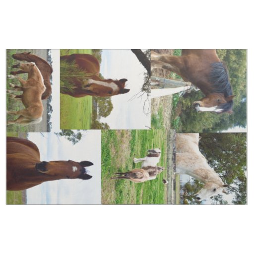 Horse_Collage, Combed Cotton (56" width) Material. Fabric