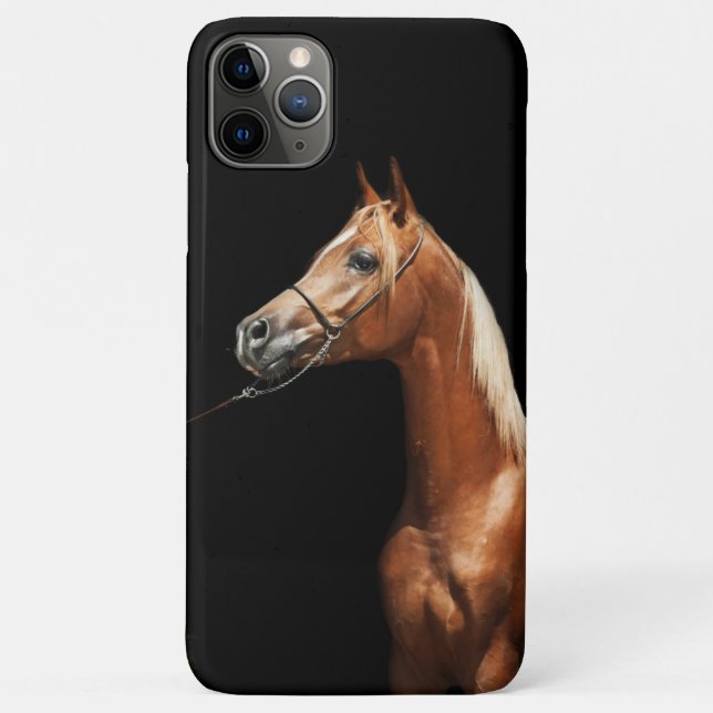 horse collection. arabian red OtterBox iPhone case (Back)