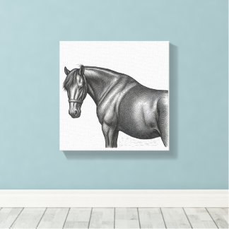 Horse Collection Canvas Print