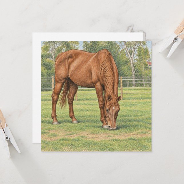 Horse Collection Note Card (Front/Back In Situ)