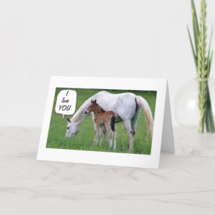 HORSE/COLT HELP DECLARE LOVE AT CHRISTMAS HOLIDAY CARD