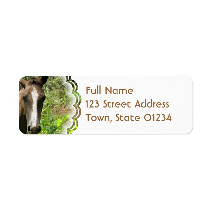 Horse Colt Mailing Label