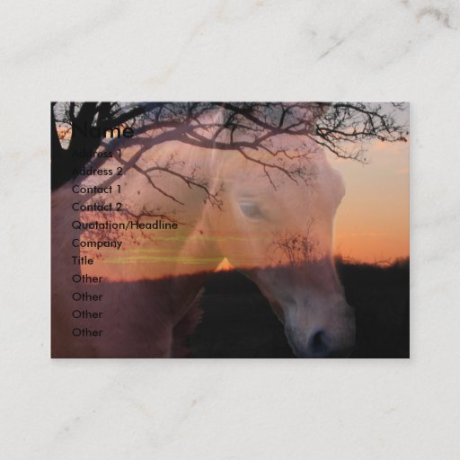 Customizable Horse Colt Sunrise Business Card