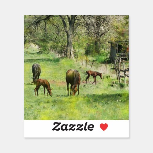 Horse  Colts In Pasture _ Vinyl Sticker