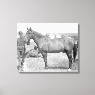 Horse "Comanche" the sole Survivor of the Custer Canvas Print