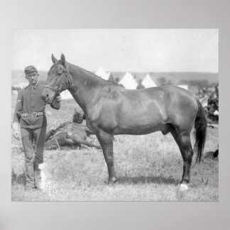 Horse "Comanche" the sole Survivor of the Custer Poster