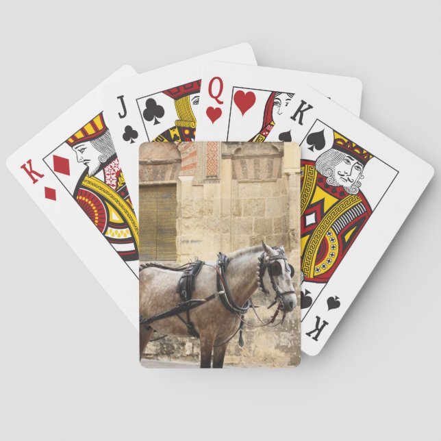 Horse Cordoba Spain Poker Cards (Back)
