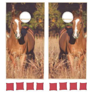 Horse Cornhole Set