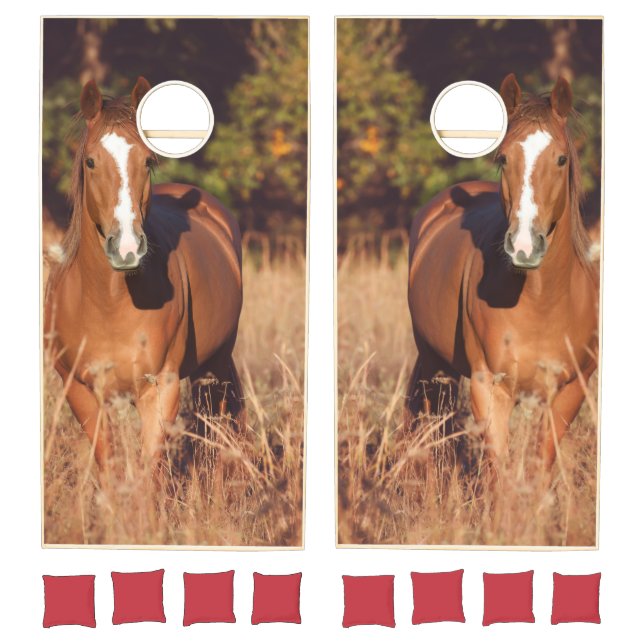 Horse Cornhole Set (Set)