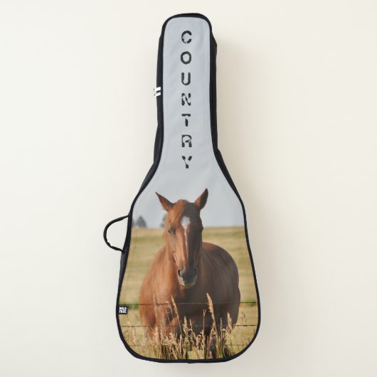 Horse Country Acoustic Guitar Bag by Janz (Front)
