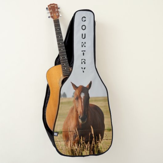 Horse Country Acoustic Guitar Bag by Janz (Front)