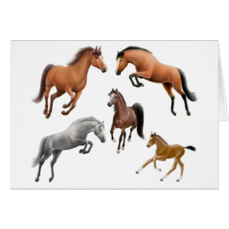 Horse Crazy Card