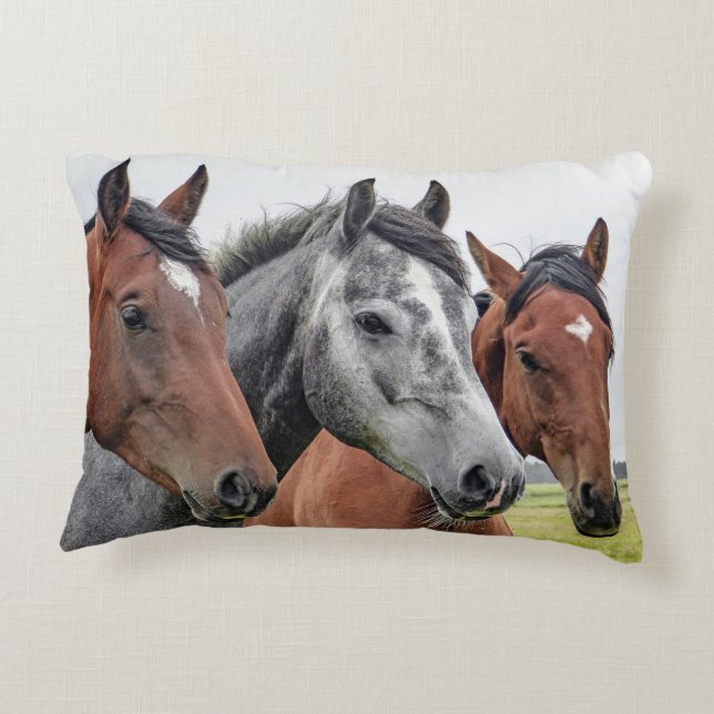 horse decorative pillow (Back)