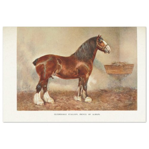 Horse Decoupage Vintage Clydesdale Stallion Tissue Paper