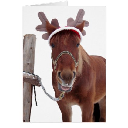 Horse deer - christmas horse - funny horse card