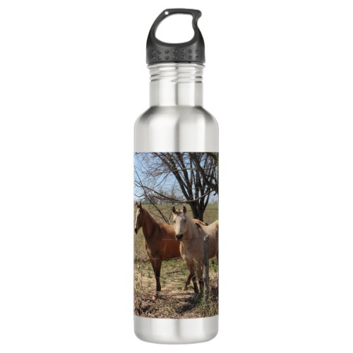 Horse Designs By Breana Pope Stainless Steel Water Bottle