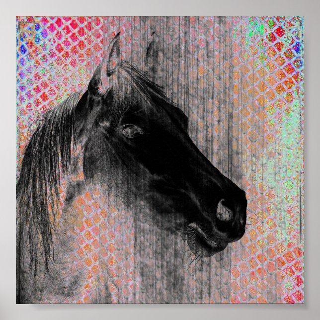Horse Digital Art Poster (Front)