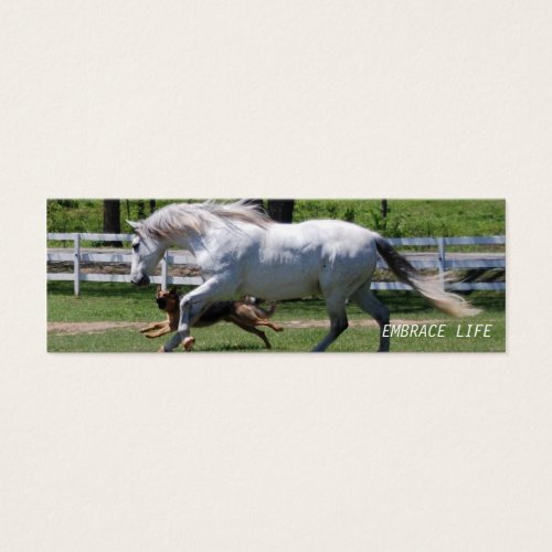 HORSE &amp; DOG EMBRACE LIFE BUSINESS CARD TEMPLATES