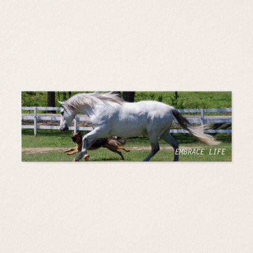 Customizable HORSE &amp; DOG EMBRACE LIFE BUSINESS CARD TEMPLATES