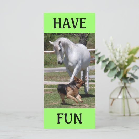 HORSE & DOG PLAY (Standing Front)
