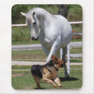 HORSE & DOG PLAY MOUSE PAD