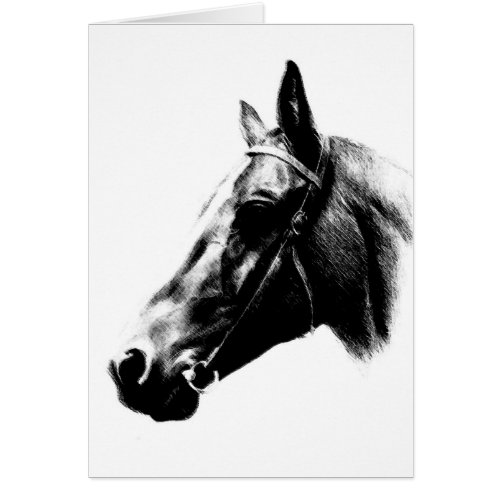 Horse Drawing Artwork Card