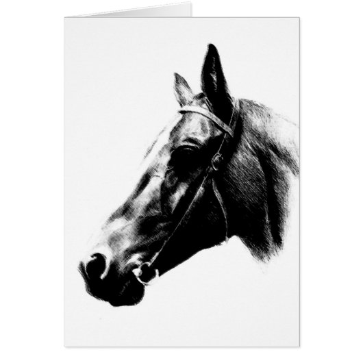 Horse Drawing Artwork Card (Front)