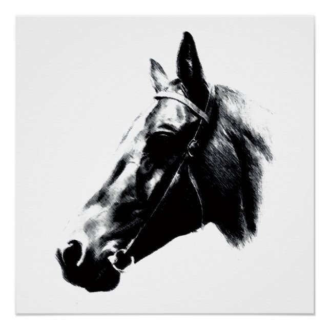 Horse Drawing Artwork Card Poster (Front)