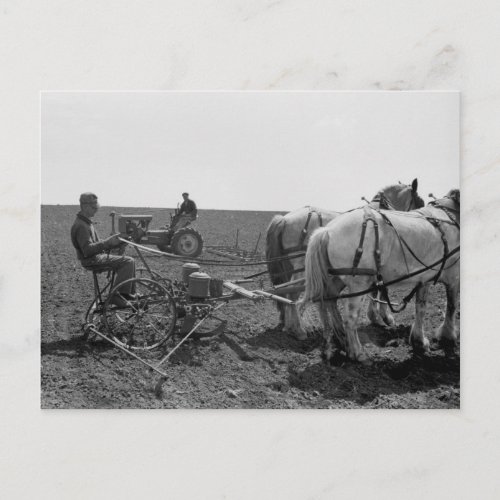 Horse_Drawn Corn Planter 1940 Postcard