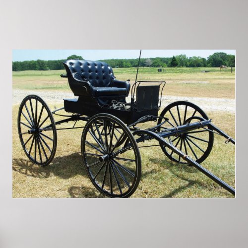 Horse_drawn Doctors buggy Poster