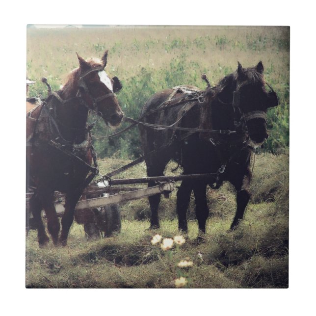 Horse Drawn Equipment Farming Making Hay Ceramic Tile (Front)