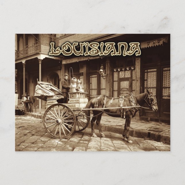 Horse drawn milk cart, New Orleans, Louisiana Postcard (Front)