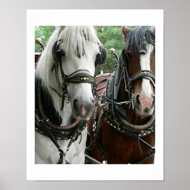 Horse Drawn Poster (Front)