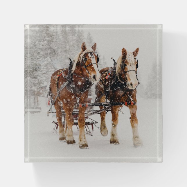 Horse Drawn Sleigh Christmas Scene Paperweight (Front)