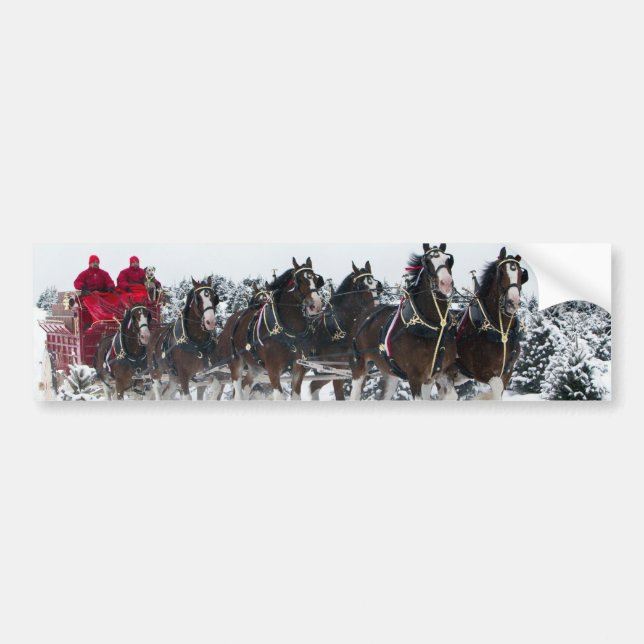 Horse drawn sleigh ride bumper sticker (Front)