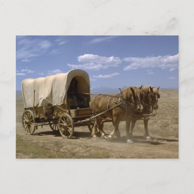 Horse drawn wagon postcard (Front)
