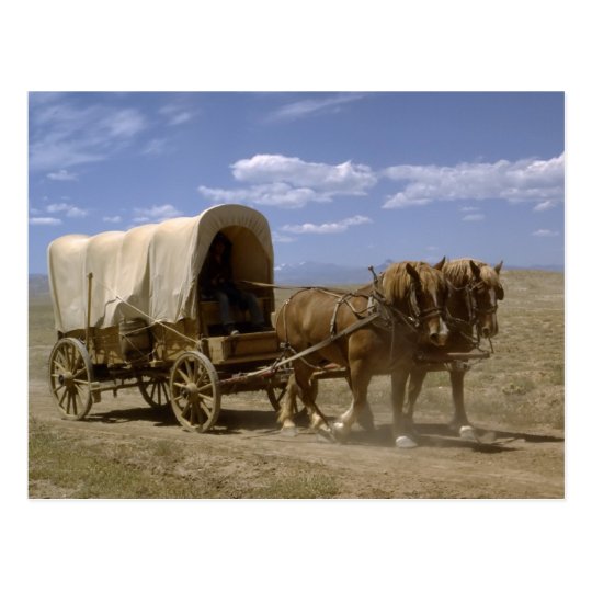 Horse drawn wagon postcard | Zazzle.com