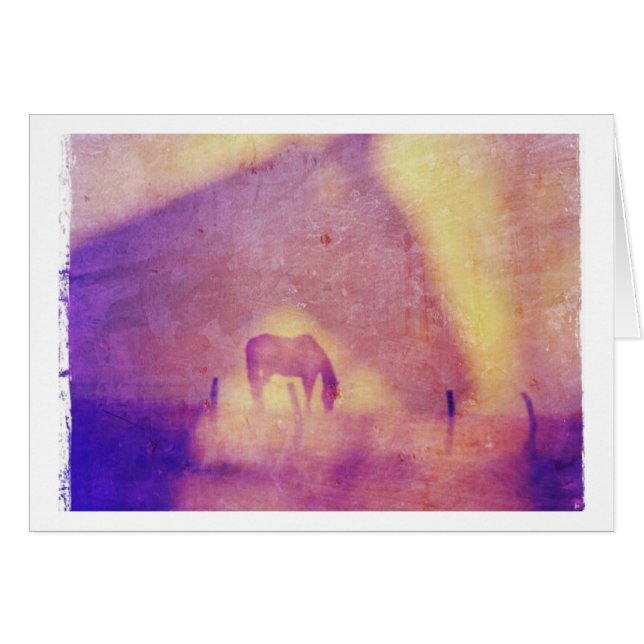 Horse Dreams All Occasions Cards (Front Horizontal)