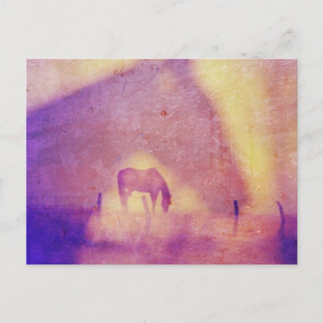 Horse Dreams by Angelandspot Postcard (Front)