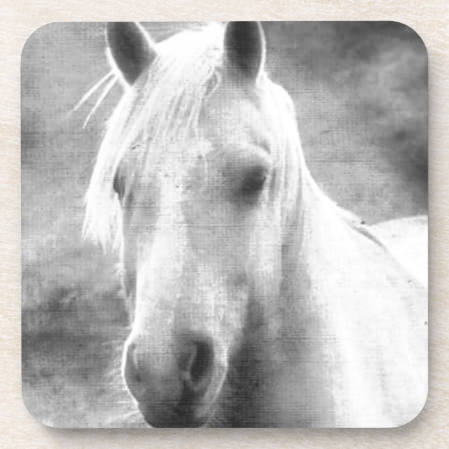 Horse Drink Coaster (Front)