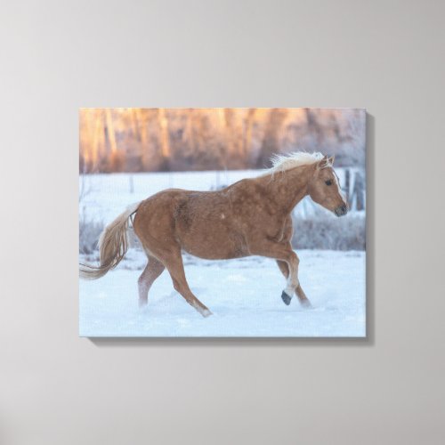 Horse Drive in Winter on Hideout Ranch Canvas Print