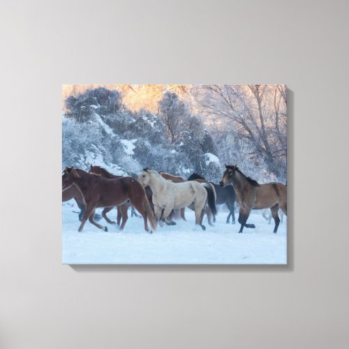 Horse Drive in Winter on Hideout Ranch Canvas Print