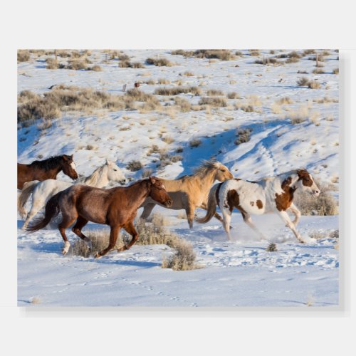 Horse Drive in Winter on Hideout Ranch Foam Board