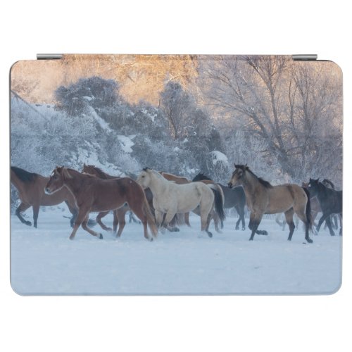 Horse Drive in Winter on Hideout Ranch iPad Air Cover